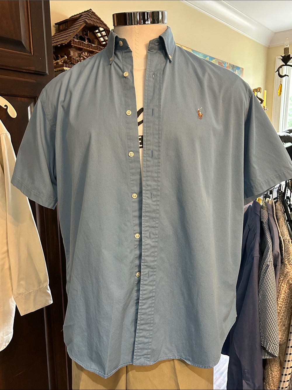 Polo by Ralph Lauren Sky Blue Blake Short-Sleeve Button-Down Shirt Sz L